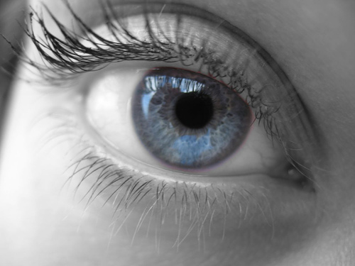 bionic eye