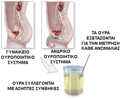 prosimptomatiki diagnosi prostati 1